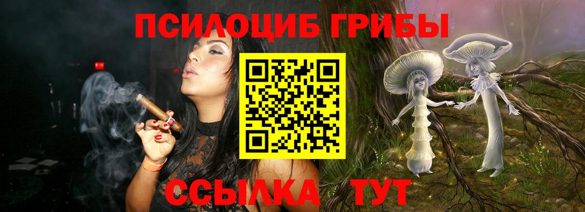 Псилоцибиновые грибы мицелий  Вход с VPN  Галлюциногенные грибы GOLDEN TEACHER  Киров 